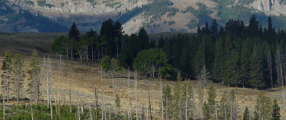 Carpentalis Moravian Ranch